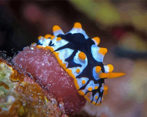 Sea Slug Animal paint by number
