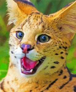 Serval Wild Cat paint by number