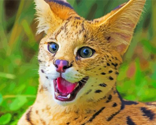 Serval Wild Cat paint by number