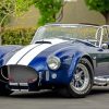 Shelby Cobra Car paint by number