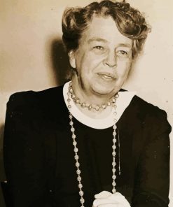 Vintage Eleanor Roosevelt paint by number