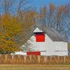 White Barns And Hay Rolls paint by number