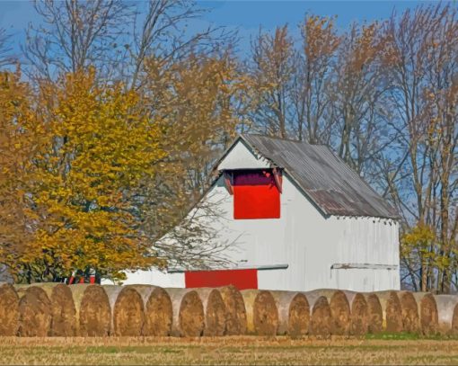 White Barns And Hay Rolls paint by number