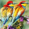 Bee Eater Birds paint by number