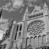 Black And White Chartres Cathedral paint by number