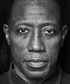 Black And White Wesley Snipes paint by number