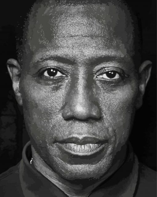 Black And White Wesley Snipes paint by number