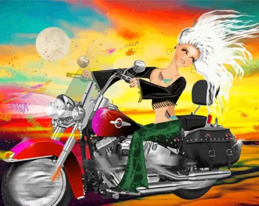 Cartoon Girl On A Harley paint by number