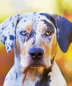 Catahoula paint by number