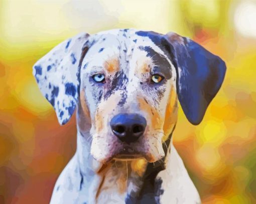 Catahoula paint by number