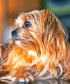 Close Up Shorkie Dog paint by number