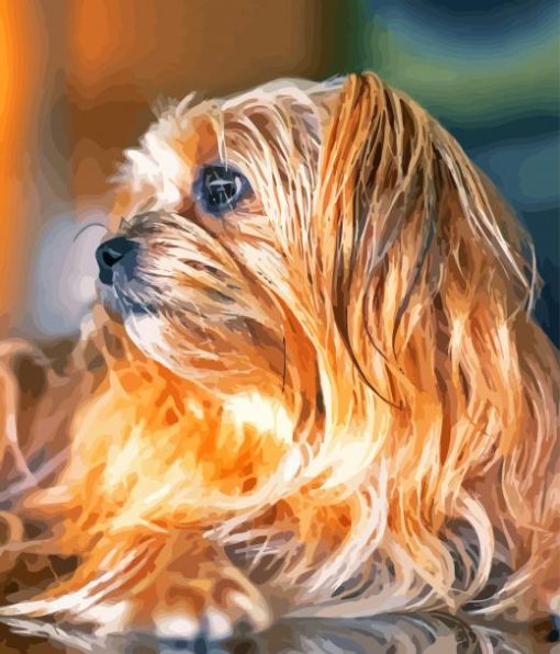 Close Up Shorkie Dog paint by number