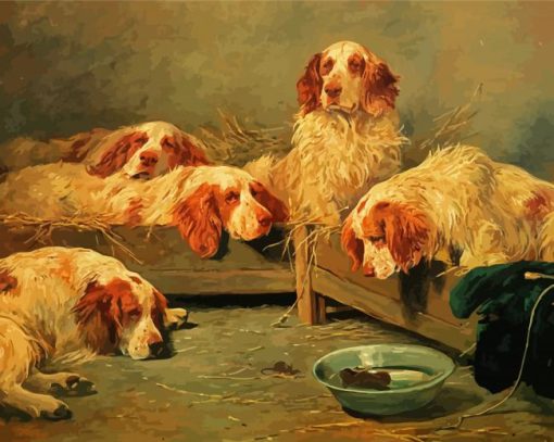 Clumber Spaniel Dogs paint by number