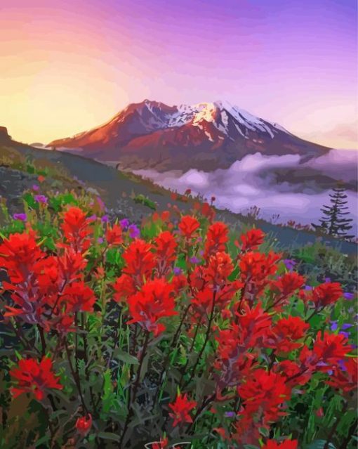 Mt St Helens With Red Poppies paint by number