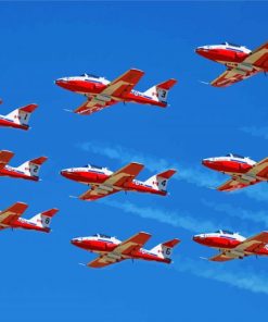 The Canadian Snowbirds paint by number