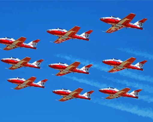 The Canadian Snowbirds paint by number