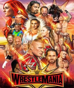 Aesthetic Wwe Poster paint by number