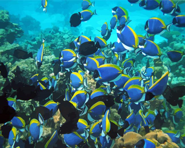 Maldives Fish School paint by number