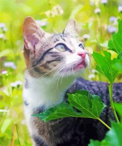 Cat In The Flowers Field paint by number