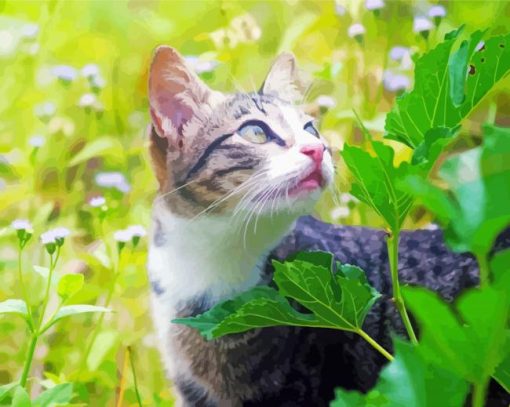 Cat In The Flowers Field paint by number