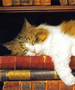 Cute Sleepy Cat And Books paint by number