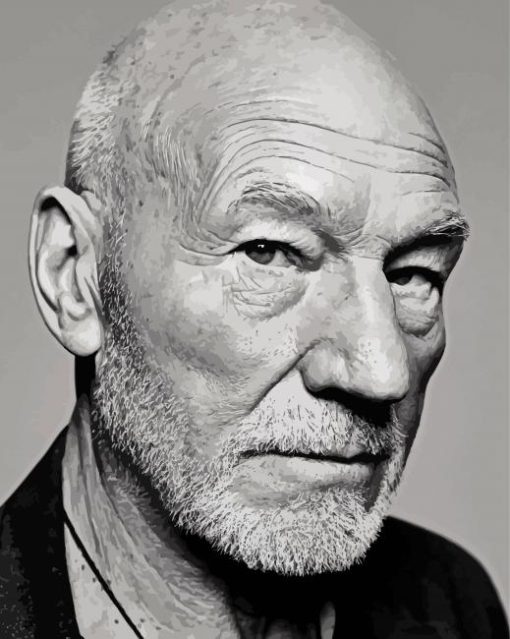 Patrick Stewart In Black And White paint by number