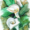 Peace Lily Art paint by number