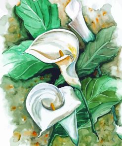 Peace Lily Art paint by number