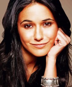 The Actress Emmanuelle Chriqui paint by number