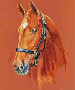 American Quarter Horse Head Art paint by number