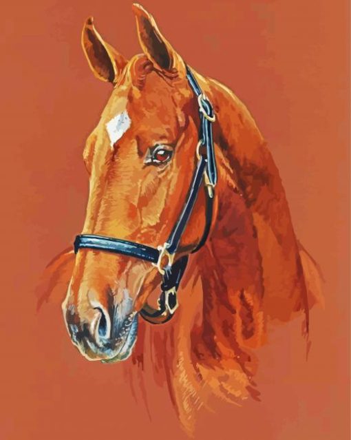 American Quarter Horse Head Art paint by number