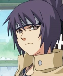 Anko Mitarashi Character paint by number