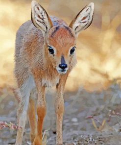 Baby Steenbok paint by number