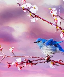 Blue Bird And Blossom paint by number