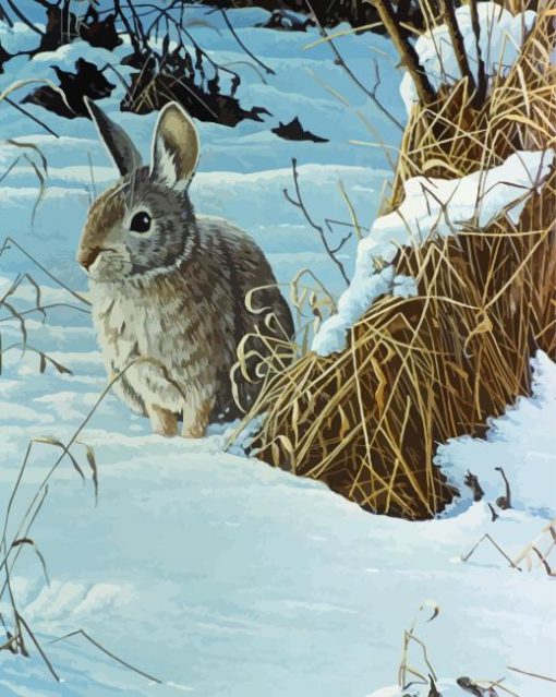 Brown Bunny In Snow paint by number