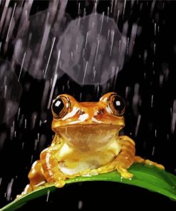 Brown Frog In The Rain paint by number