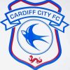 Cardiff City Football Logo paint by number