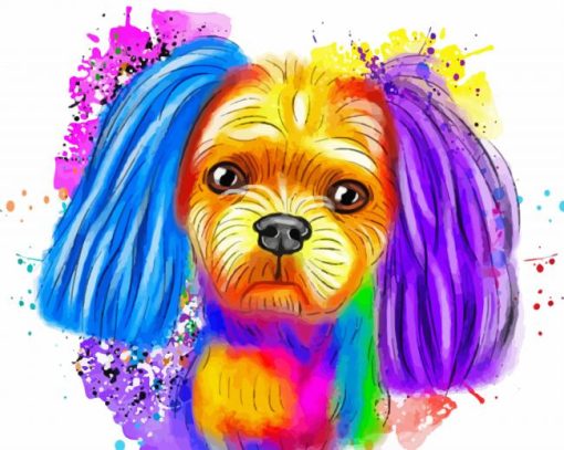 Colorful Shih Tzu Dog Animal paint by number