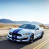 Cool White And Blue Mustang On Road paint by number