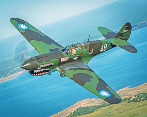 Flying Tiger Plane paint by number