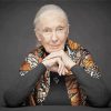 Jane Goodall paint by number