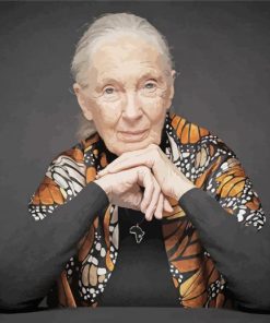 Jane Goodall paint by number