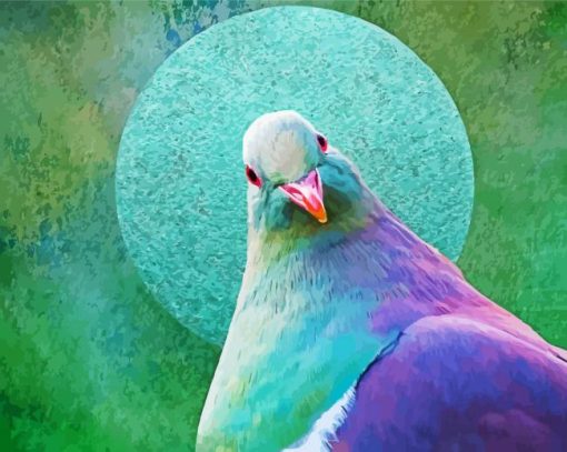 Kereru Bird paint by number