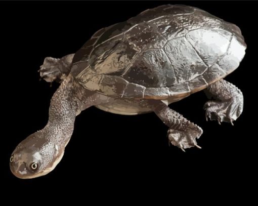 Long Neck Turtle paint by number