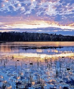 Minnesota Lake paint by number