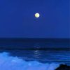 Moon By The Sea paint by number