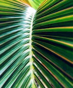 Palm Leaf paint by number