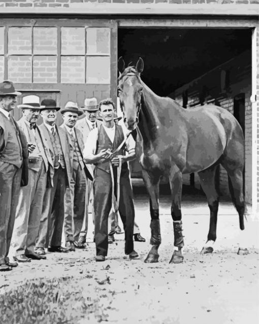 Phar Lap Horse paint by number