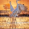 Sandhill Cranes At Sunrise paint by number