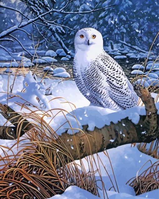 Snowy White Owl Bird paint by number